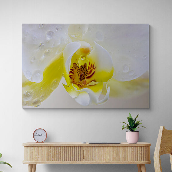 Tableau Orchidée