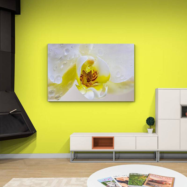 Tableau Orchidée