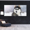 Tableau Husky