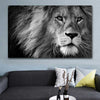 Tableau Lion Noir et Blanc