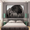 Tableau Noir et Blanc Couple de Lions