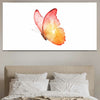 Tableau Papillon sur fond blanc