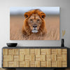 Tableau Portrait Lion